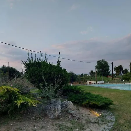 Kika & Joy's Garden
