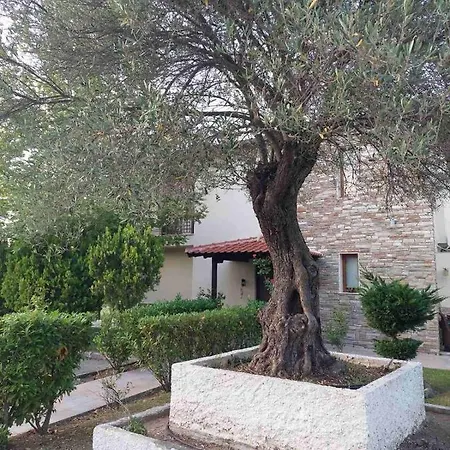 Kika & Joy's Garden Holiday home